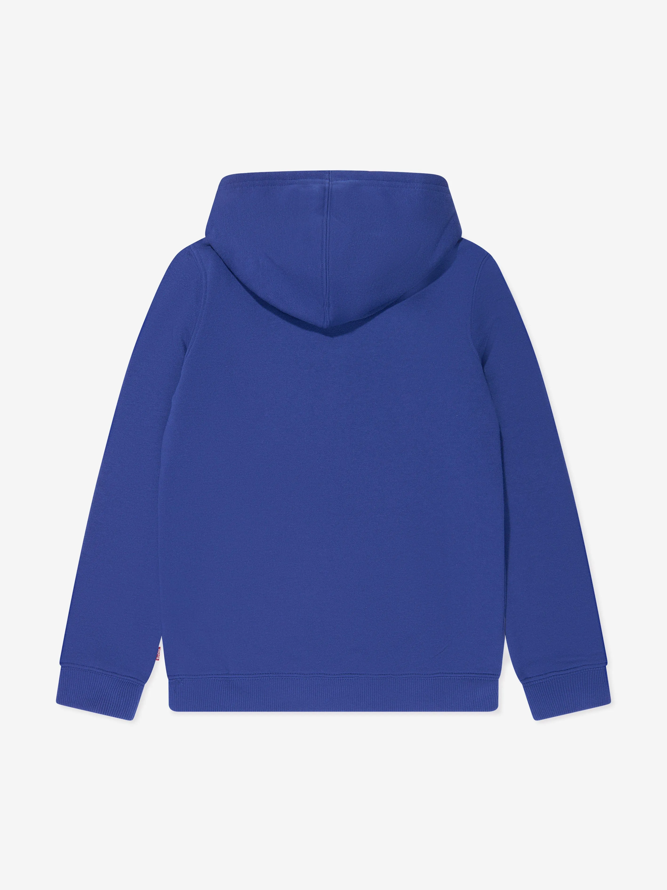 Levi's Wear Boys Batwing Fill Hoodie in Blue