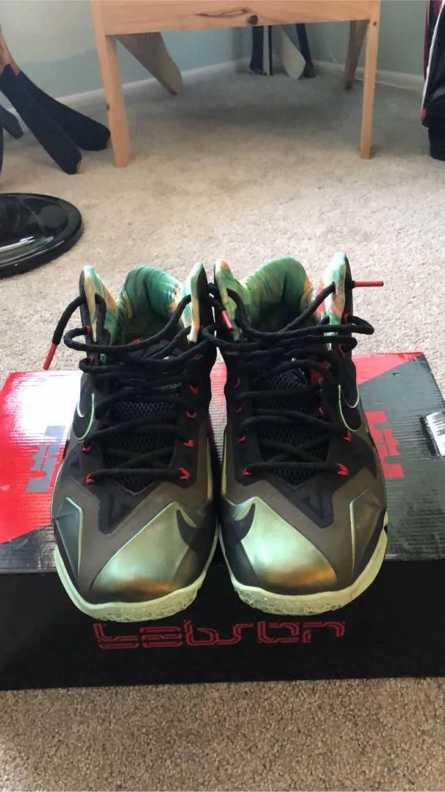 Nike Lebron 11 - King’s Pride