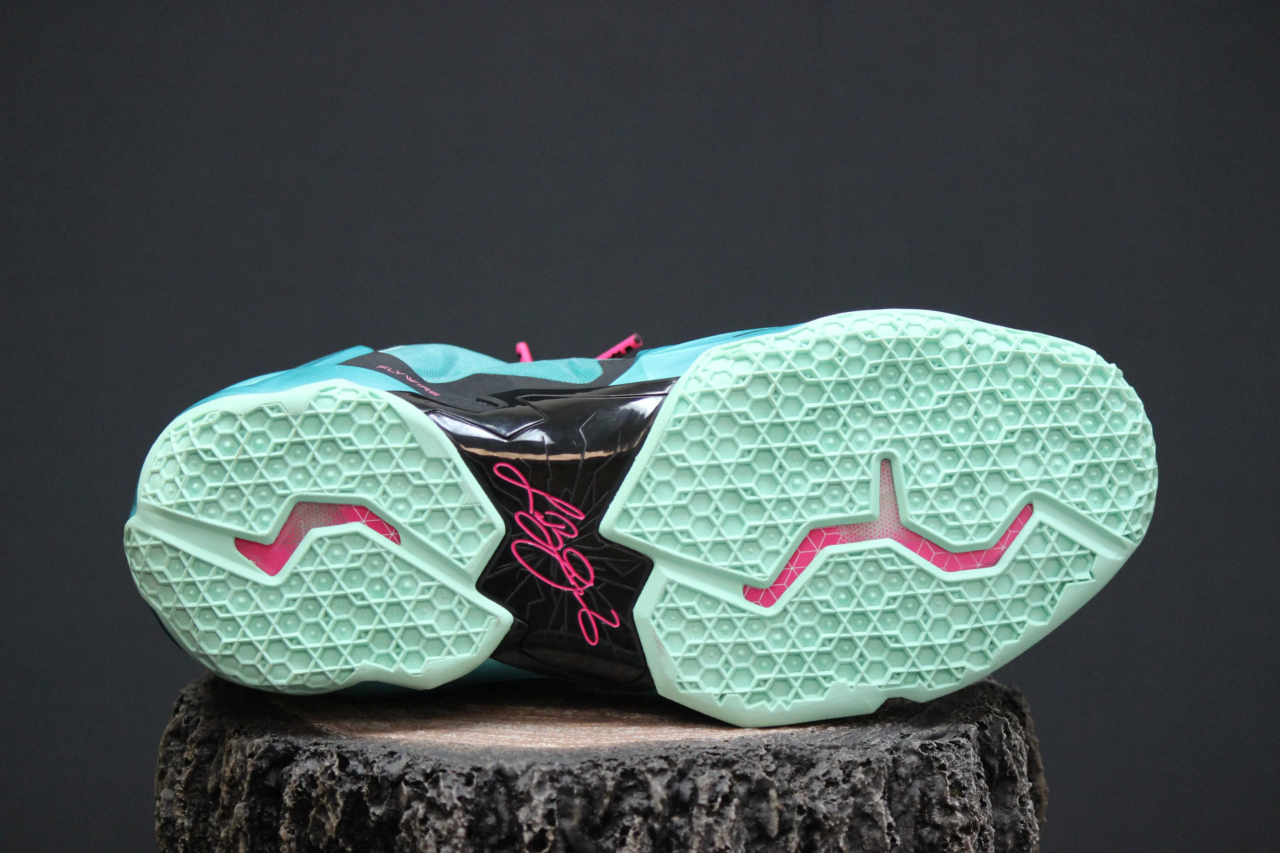 Nike Lebron XI Southbeach