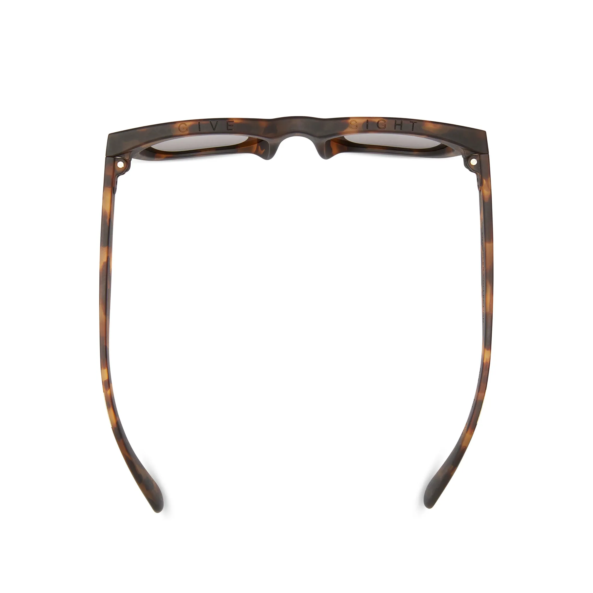 Paloma Traveler Sunglasses