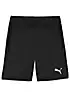 Puma teamGoal Training Shorts