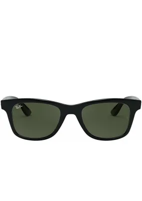 Ray-Ban Steve RB4487 Sunglasses