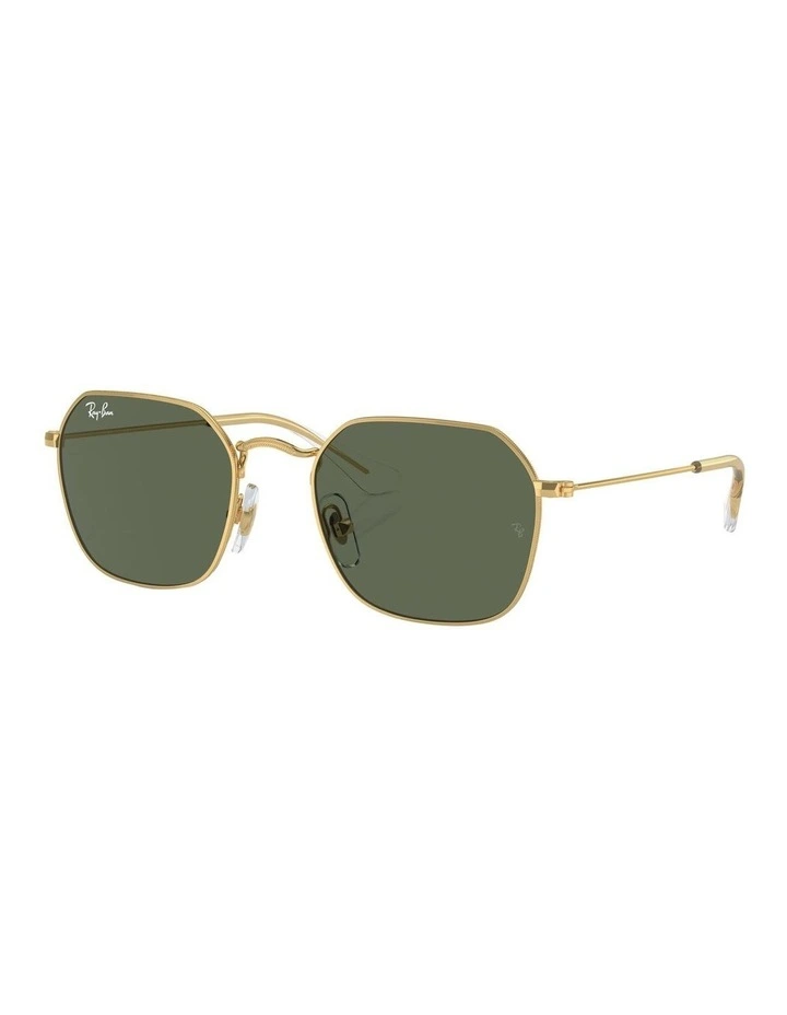 RB9594S Sunglasses in Gold