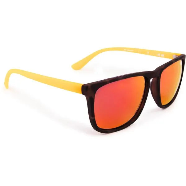 Superdry Alumni Sunglasses